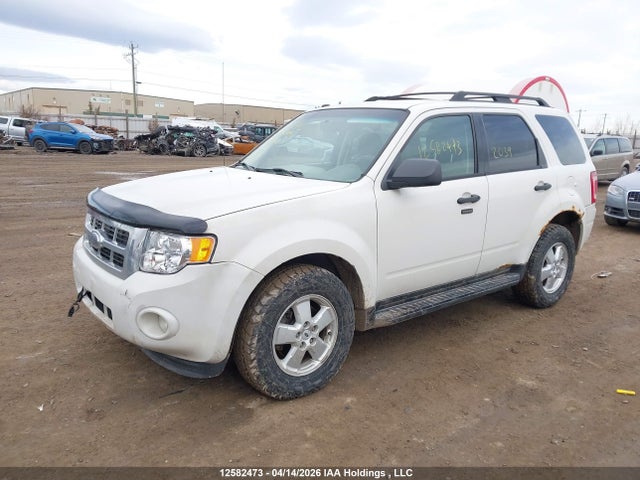 Продаж на аукціоні авто 2009 Ford Escape Xlt Automatic, vin: 1FMCU93G09KA11463, номер лоту: 12582473