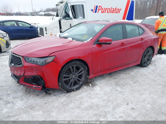 12505247 :رقم المزاد ، 19UUB3F67KA801418 vin ، 2019 Acura Tlx Tech A-spec مزاد بيع