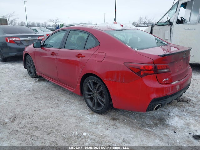 12505247 :رقم المزاد ، 19UUB3F67KA801418 vin ، 2019 Acura Tlx Tech A-spec مزاد بيع