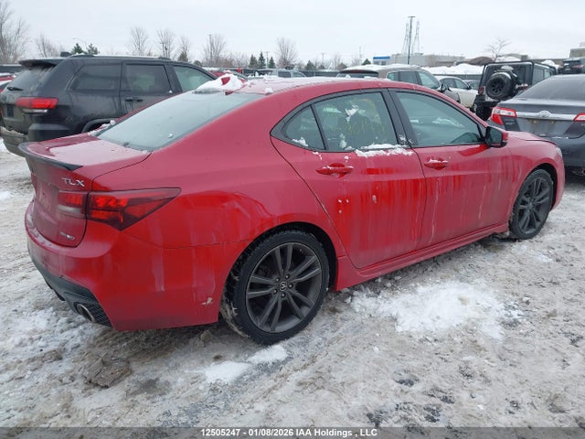 12505247 :رقم المزاد ، 19UUB3F67KA801418 vin ، 2019 Acura Tlx Tech A-spec مزاد بيع