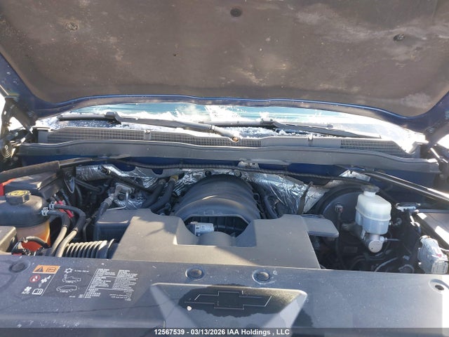 1GCVKPECXFZ354446 Chevrolet Silverado 1500 Ls/wt