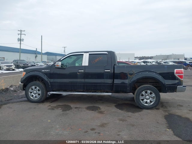 12580071 :رقم المزاد ، 1FTFW1EF4CKD81033 vin ، 2012 Ford F-150 Xlt مزاد بيع