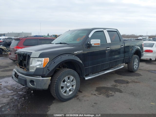 12580071 :رقم المزاد ، 1FTFW1EF4CKD81033 vin ، 2012 Ford F-150 Xlt مزاد بيع