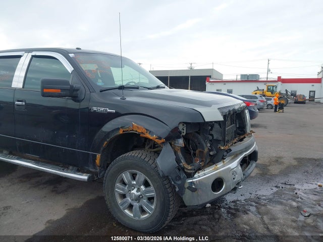 12580071 :رقم المزاد ، 1FTFW1EF4CKD81033 vin ، 2012 Ford F-150 Xlt مزاد بيع