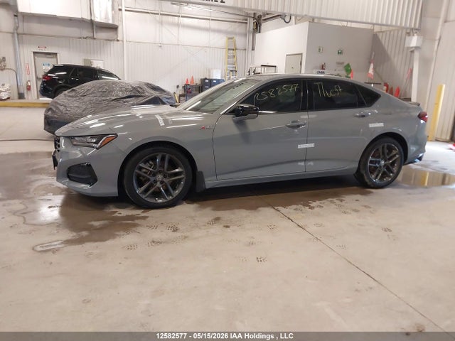 19UUB6F51RA800493 Acura Tlx A-spec