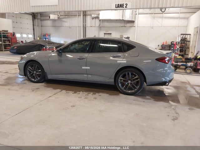 19UUB6F51RA800493 Acura Tlx A-spec