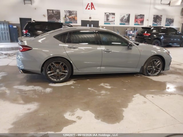 19UUB6F51RA800493 Acura Tlx A-spec