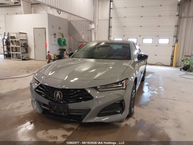 19UUB6F51RA800493 Acura Tlx A-spec