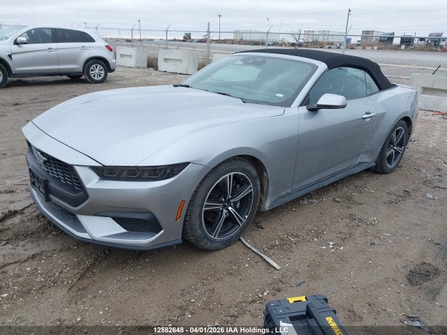 Aukcja sprzedaży 2025 Ford Mustang, vin: 1FAGP8UH3S5114501, numer aukcji: 12582648