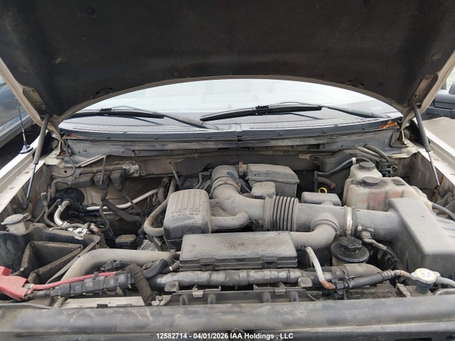 Aukcja sprzedaży 2010 Ford F150 Supercrew, vin: 1FTFW1EV5AFD21453, numer aukcji: 12582714