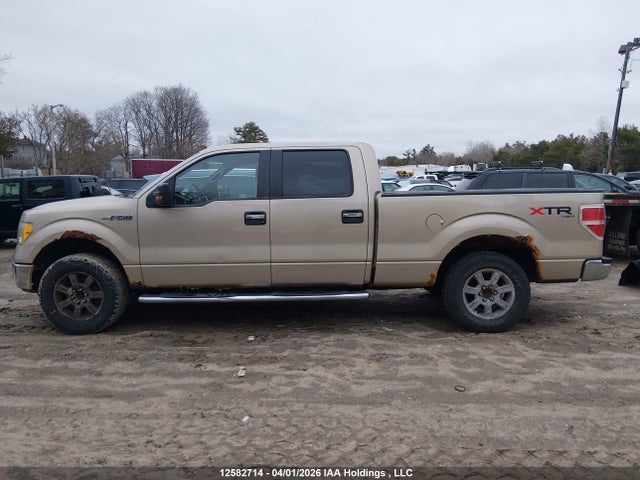 Aukcja sprzedaży 2010 Ford F150 Supercrew, vin: 1FTFW1EV5AFD21453, numer aukcji: 12582714
