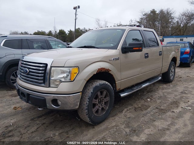 Aukcja sprzedaży 2010 Ford F150 Supercrew, vin: 1FTFW1EV5AFD21453, numer aukcji: 12582714