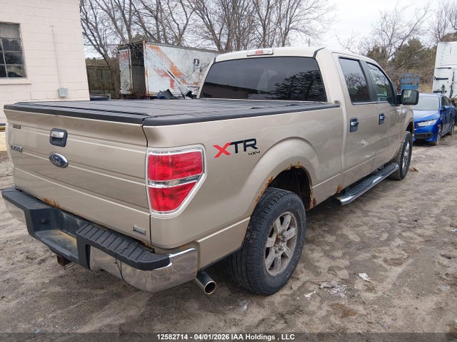 Aukcja sprzedaży 2010 Ford F150 Supercrew, vin: 1FTFW1EV5AFD21453, numer aukcji: 12582714