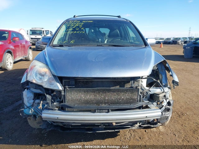 Продаж на аукціоні авто 2010 Honda Cr-v Exl, vin: 5J6RE4H79AL806768, номер лоту: 12582926