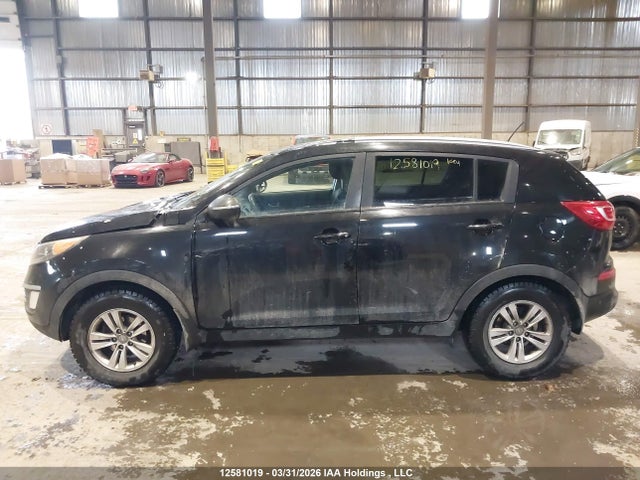 Продаж на аукціоні авто 2011 Kia Sportage Lx, vin: KNDPB3A22B7121469, номер лоту: 12581019