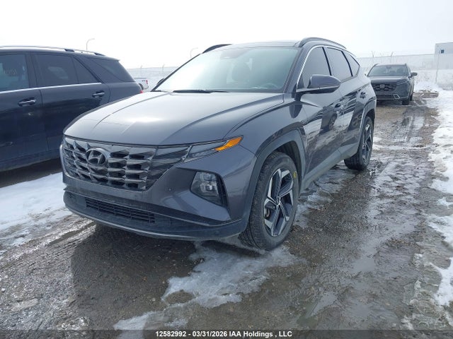 KM8JCCD12RU137278 Hyundai Tucson Sel Convenience
