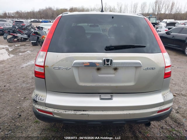 Продаж на аукціоні авто 2010 Honda Cr-v Ex, vin: 5J6RE4H5XAL802386, номер лоту: 12583073