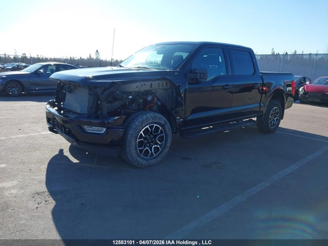 2022 Ford F-150 Xlt მანქანა იყიდება აუქციონზე, vin: 1FTEW1EP6NFC00403, აუქციონის ნომერი: 12583101