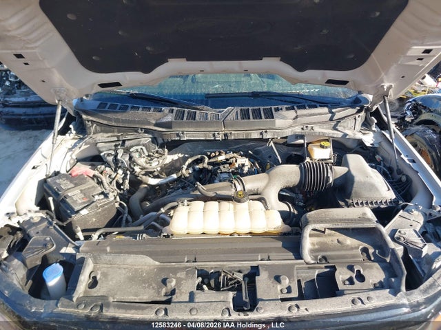 1FTEW3LP5RKF31839 Ford F-150 Xlt