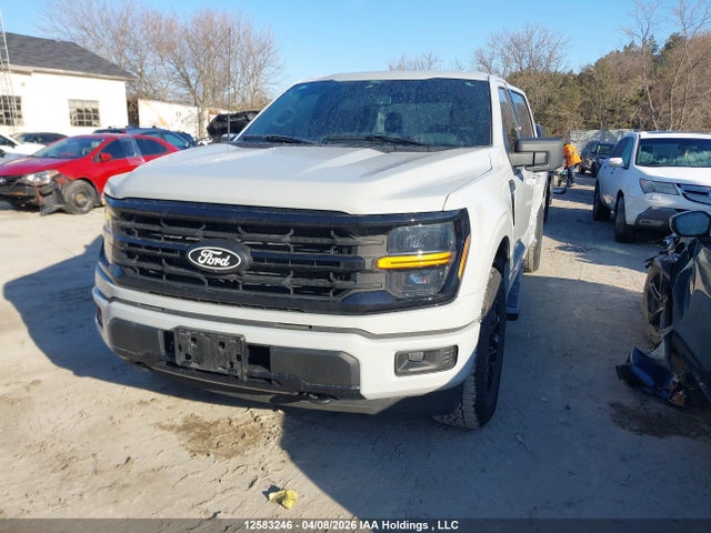 Ford F-150 Xlt 2024 1FTEW3LP5RKF31839 Image 2
