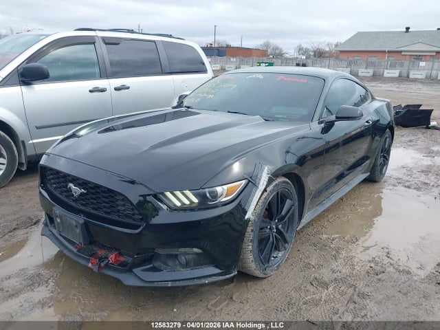 12583279 :رقم المزاد ، 1FA6P8TH5G5319807 vin ، 2016 Ford Mustang مزاد بيع