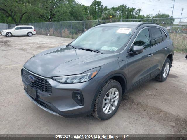 Продаж на аукціоні авто 2024 Ford Escape Phev, vin: 1FMCU0E12RUA79787, номер лоту: 12583283
