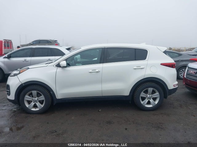 2017 Kia Sportage Lx მანქანა იყიდება აუქციონზე, vin: KNDPM3AC6H7125052, აუქციონის ნომერი: 12583314