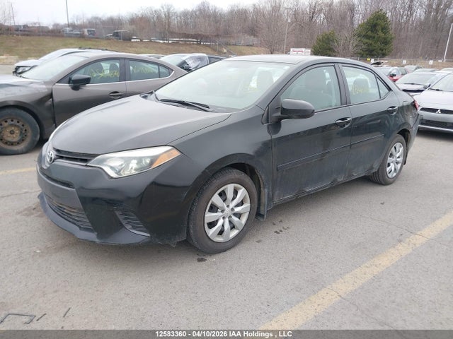 2T1BURHE1GC546260 Toyota COROLLA LE