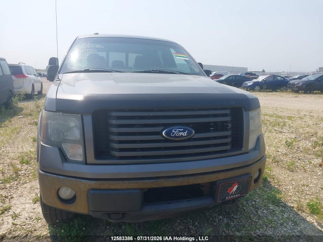 12583386 :رقم المزاد ، 1FTFW1ET0CFB18486 vin ، 2012 Ford F-150 Fx4 مزاد بيع