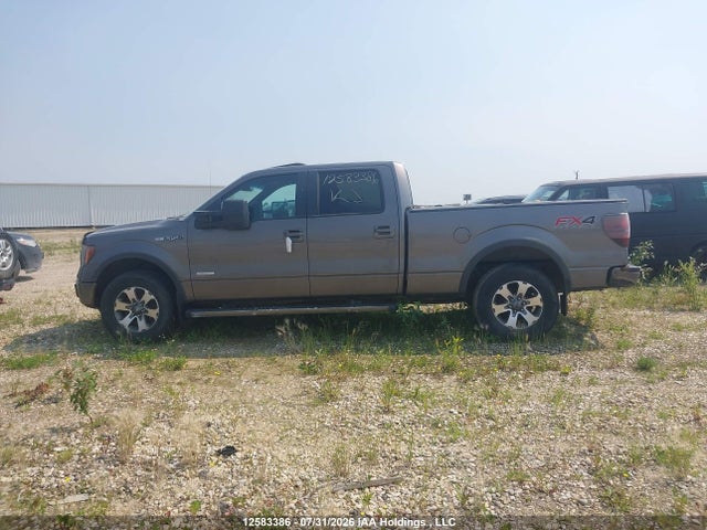 12583386 :رقم المزاد ، 1FTFW1ET0CFB18486 vin ، 2012 Ford F-150 Fx4 مزاد بيع