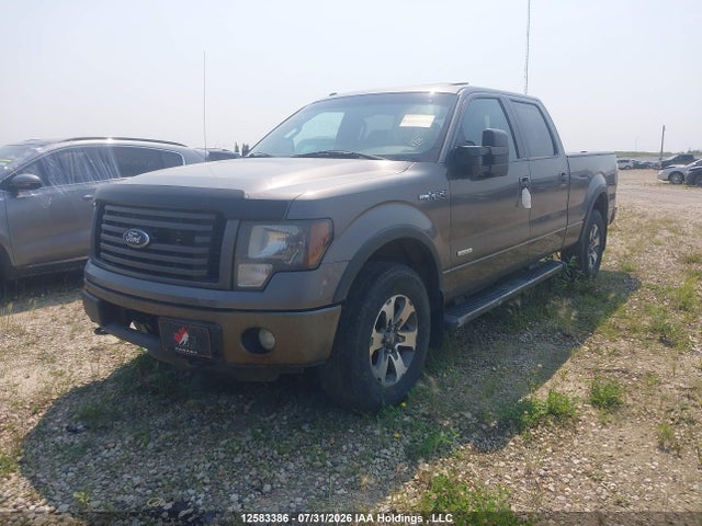 12583386 :رقم المزاد ، 1FTFW1ET0CFB18486 vin ، 2012 Ford F-150 Fx4 مزاد بيع
