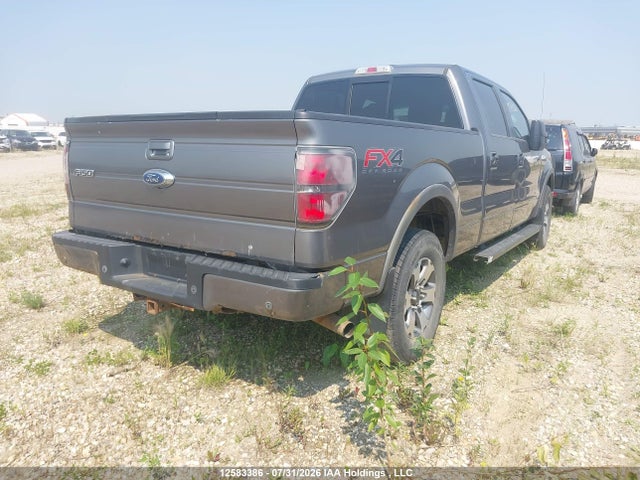 12583386 :رقم المزاد ، 1FTFW1ET0CFB18486 vin ، 2012 Ford F-150 Fx4 مزاد بيع
