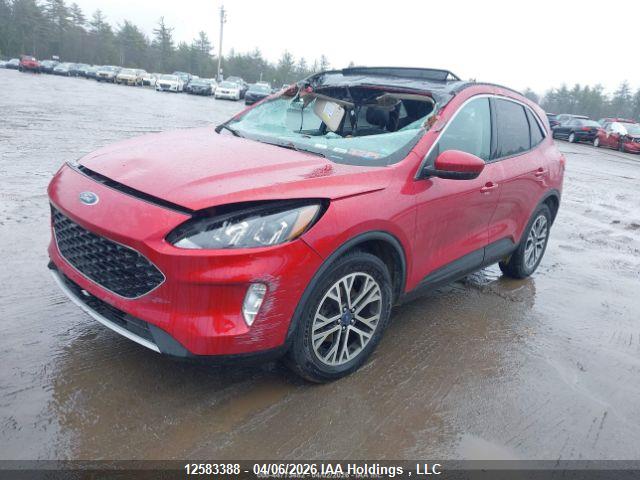 Продажа на аукционе авто 2020 Ford Escape Sel, vin: 1FMCU9H62LUA87231, номер лота: 12583388
