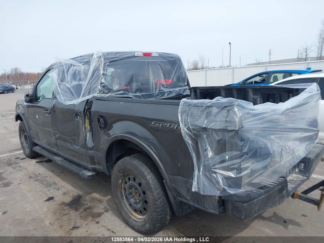 Продажа на аукционе авто 2019 Ford F150 Supercrew, vin: 1FTEW1EP3KKD60886, номер лота: 12583564