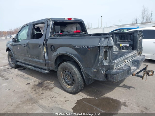 Продажа на аукционе авто 2019 Ford F150 Supercrew, vin: 1FTEW1EP3KKD60886, номер лота: 12583564