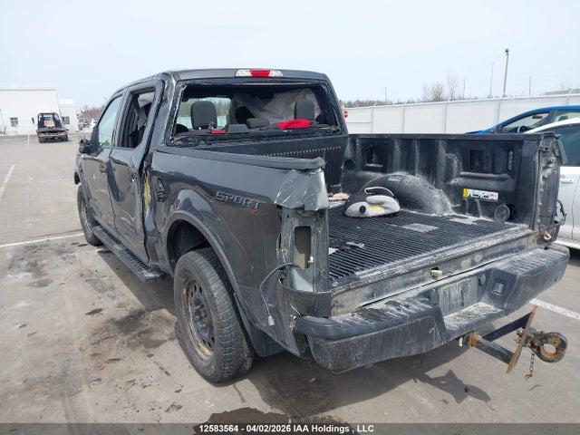 Продажа на аукционе авто 2019 Ford F150 Supercrew, vin: 1FTEW1EP3KKD60886, номер лота: 12583564