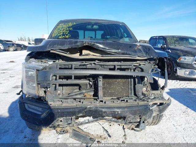 Продаж на аукціоні авто 2021 Ford F-150 Lariat, vin: 1FTFW1E54MFA18362, номер лоту: 12518607