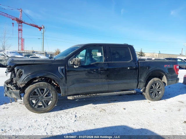 Продаж на аукціоні авто 2021 Ford F-150 Lariat, vin: 1FTFW1E54MFA18362, номер лоту: 12518607