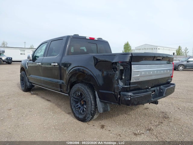 12583586 :رقم المزاد ، 1FTFW1E80PFC22056 vin ، 2023 Ford F-150 Platinum مزاد بيع