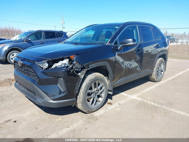 2020 Toyota Rav4 Le მანქანა იყიდება აუქციონზე, vin: 2T3B1RFV0LC135025, აუქციონის ნომერი: 12583588