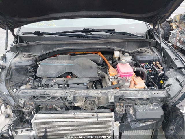 KNDRGDLG2N5103451 KIA Sorento Hybrid Lx
