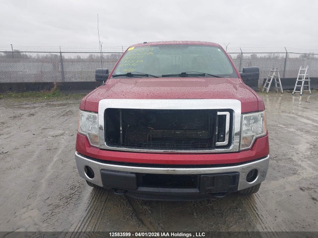 1FTFX1ET1EKG37795 Ford F-150 Xlt