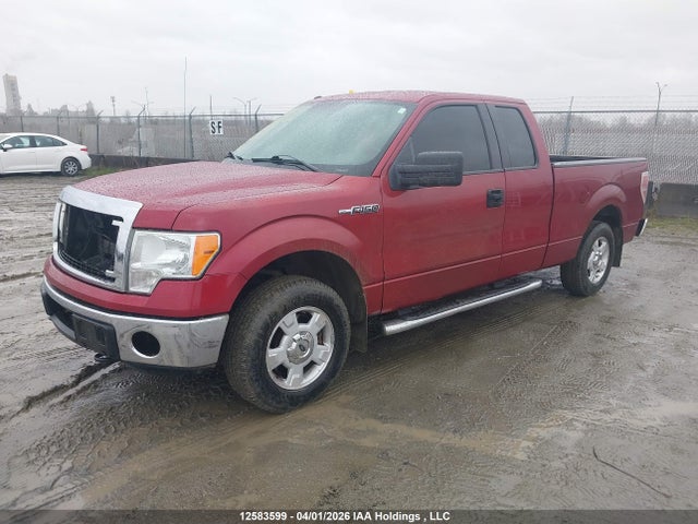 1FTFX1ET1EKG37795 Ford F-150 Xlt