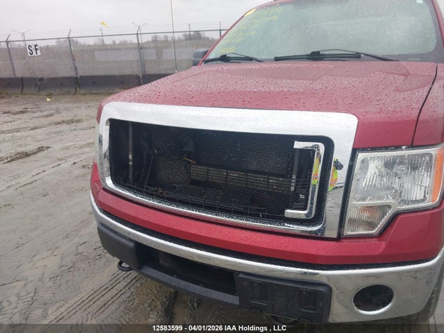 1FTFX1ET1EKG37795 Ford F-150 Xlt