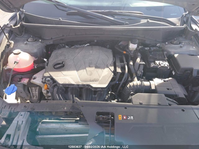 Продаж на аукціоні авто 2025 Hyundai Tucson Sel, vin: 5NMJBCDE6SH532488, номер лоту: 12583637
