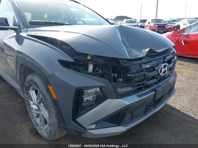 Продаж на аукціоні авто 2025 Hyundai Tucson Sel, vin: 5NMJBCDE6SH532488, номер лоту: 12583637