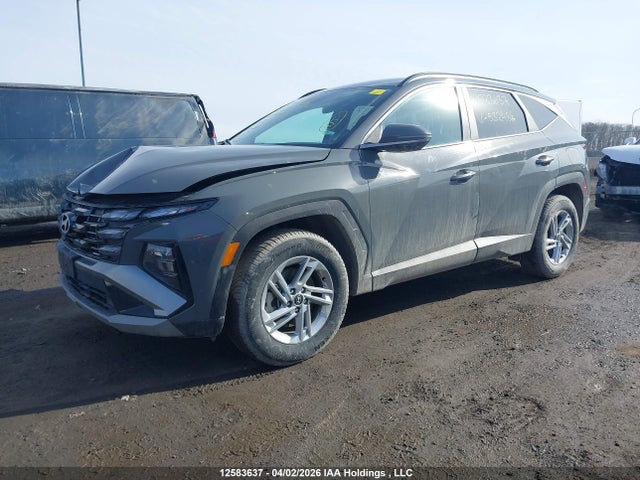 Продаж на аукціоні авто 2025 Hyundai Tucson Sel, vin: 5NMJBCDE6SH532488, номер лоту: 12583637