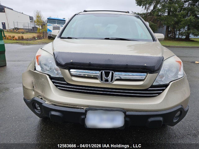 2009 Honda Cr-v Exl მანქანა იყიდება აუქციონზე, vin: 5J6RE48759L806679, აუქციონის ნომერი: 12583666