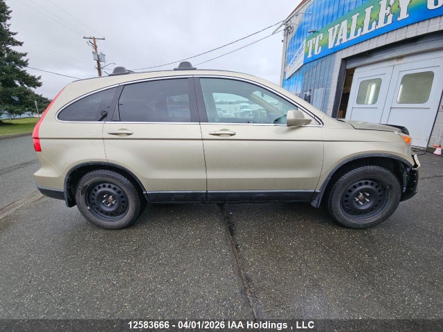 2009 Honda Cr-v Exl მანქანა იყიდება აუქციონზე, vin: 5J6RE48759L806679, აუქციონის ნომერი: 12583666