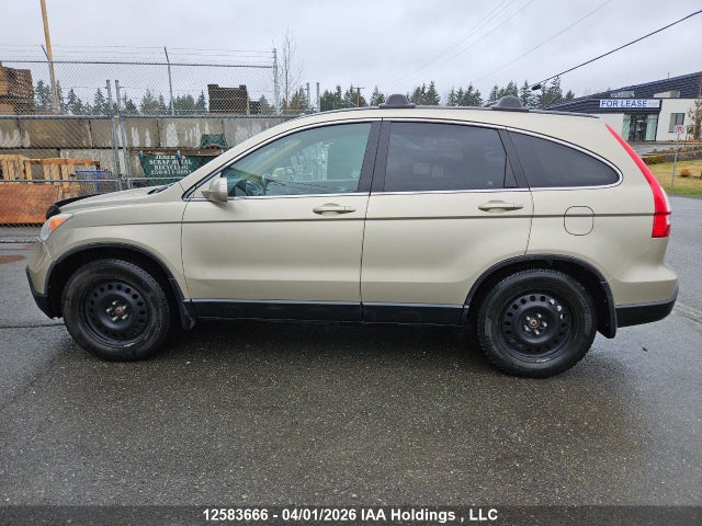 2009 Honda Cr-v Exl მანქანა იყიდება აუქციონზე, vin: 5J6RE48759L806679, აუქციონის ნომერი: 12583666
